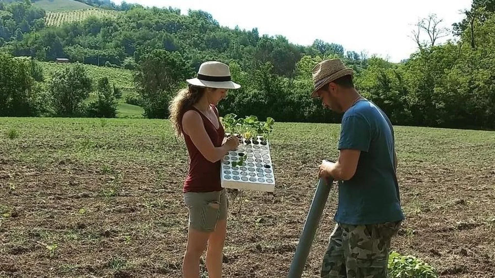 Lavoro nell'orto biologico dell'azienda agricola Acà Oltrepò a Montù Beccaria, Oltrepò Pavese
